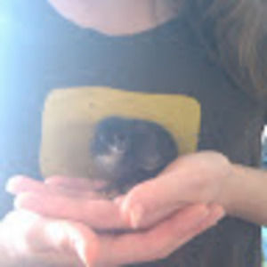 Meet your Posher, Julia